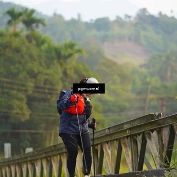 Runner Photo 5288781