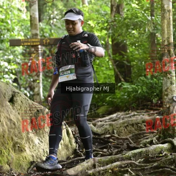 Runner Photo 528946
