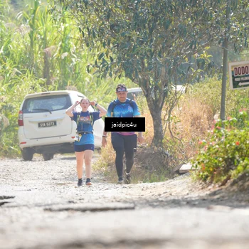 Runner Photo 5289618