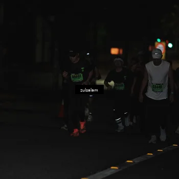 Runner Photo 5289869