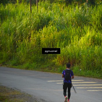 Runner Photo 5289932