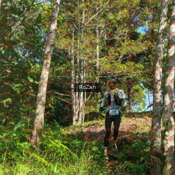 Runner Photo 5290