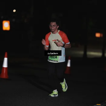 Runner Photo 5290168