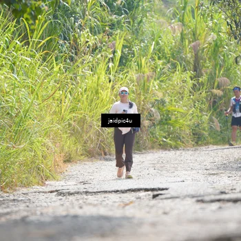 Runner Photo 5290195