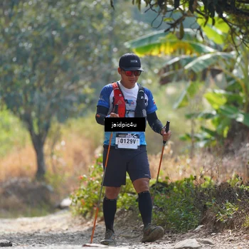 Runner Photo 5290247