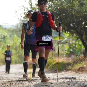 Runner Photo 5290268