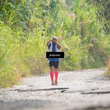 Runner Photo 5290313