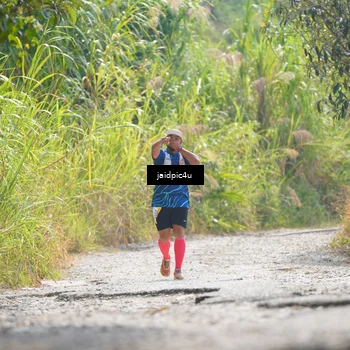 Runner Photo 5290316