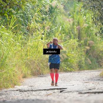 Runner Photo 5290336
