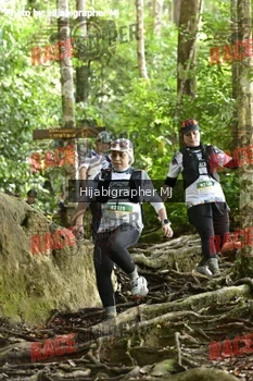 Runner Photo 529049