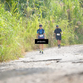 Runner Photo 5290523