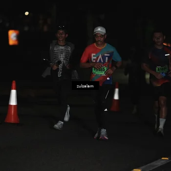 Runner Photo 5290608