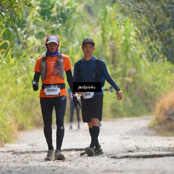 Runner Photo 5291300