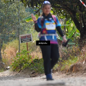 Runner Photo 5291383