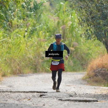 Runner Photo 5291493