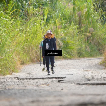 Runner Photo 5291524