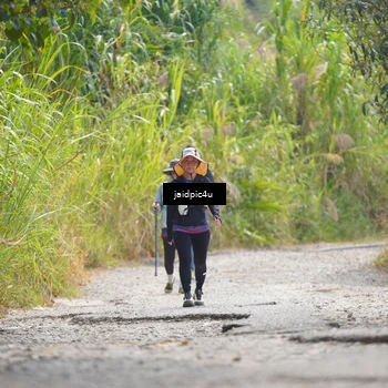 Runner Photo 5291529