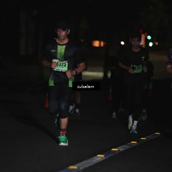Runner Photo 5291597