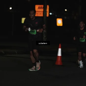 Runner Photo 5291695