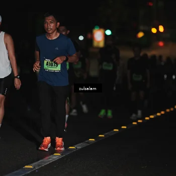 Runner Photo 5291703
