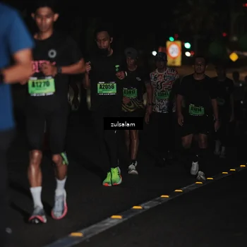 Runner Photo 5291725