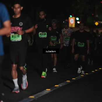 Runner Photo 5291739