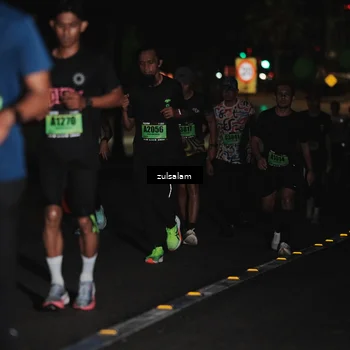 Runner Photo 5291740