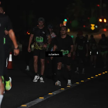 Runner Photo 5291755