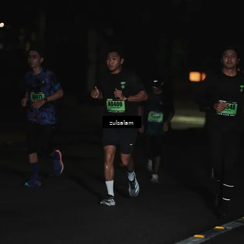 Runner Photo 5291894