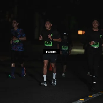 Runner Photo 5291896