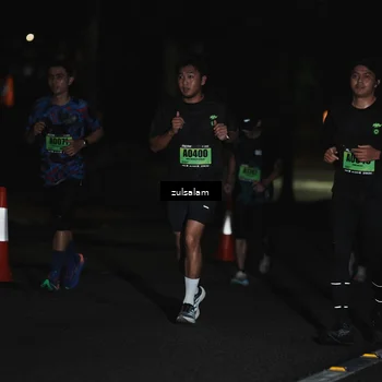 Runner Photo 5291904
