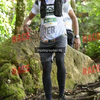 Runner Photo 529226
