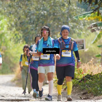 Runner Photo 5292600