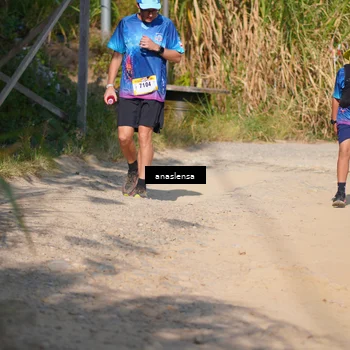 Runner Photo 5293234