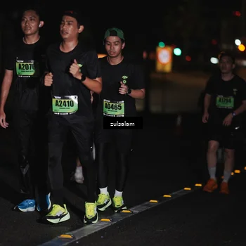 Runner Photo 5293253
