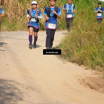 Runner Photo 5293663