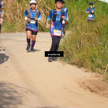 Runner Photo 5293698
