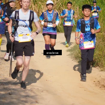 Runner Photo 5293712