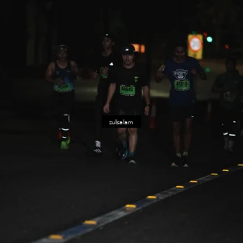 Runner Photo 5293885