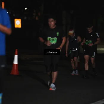 Runner Photo 5294102