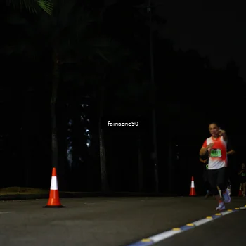 Runner Photo 5294136