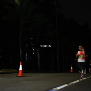 Runner Photo 5294140