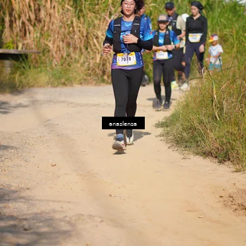 Runner Photo 5294549