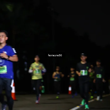 Runner Photo 5294591