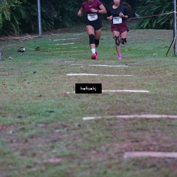 Runner Photo 5294596
