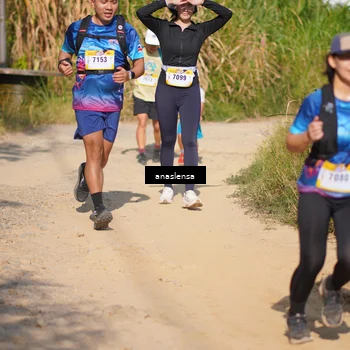 Runner Photo 5294801