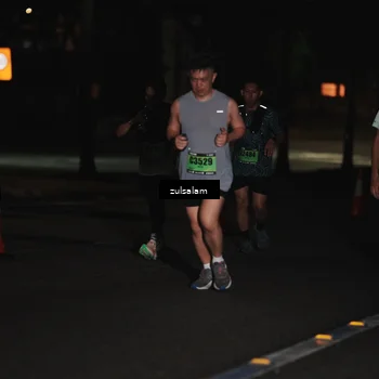 Runner Photo 5295090