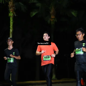 Runner Photo 5295309
