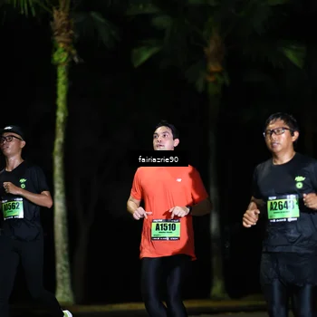 Runner Photo 5295353