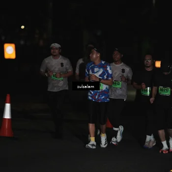 Runner Photo 5295431